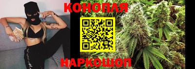 индика Нягань